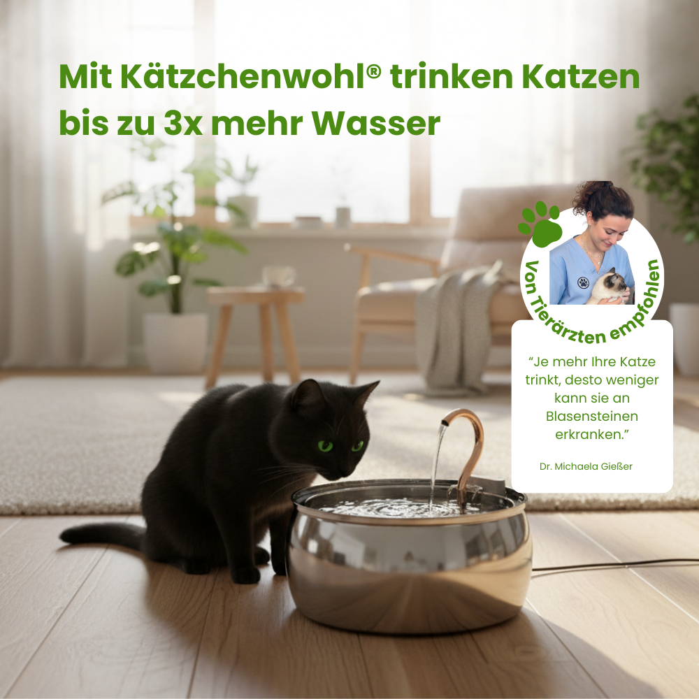 Jordans Trinkbrunnen