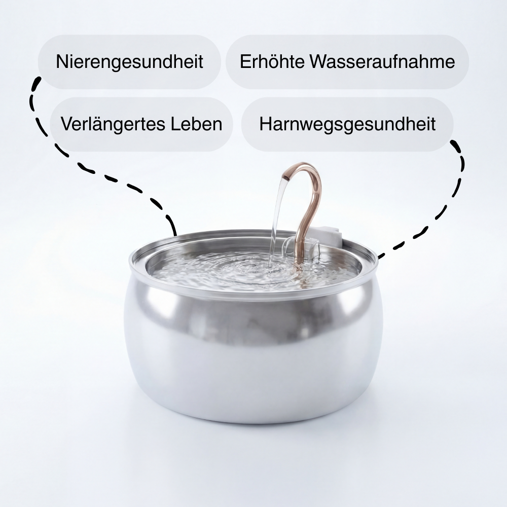 Jordans Trinkbrunnen