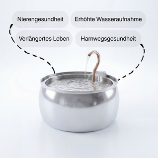 Jordans Trinkbrunnen